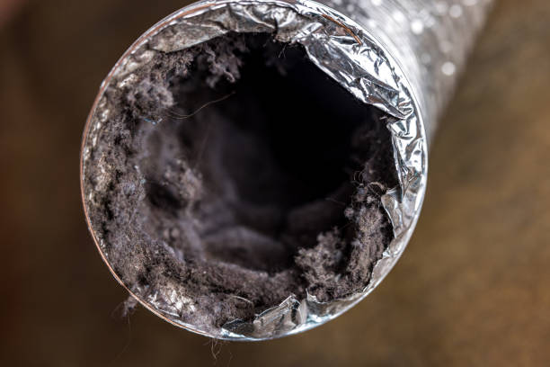 Best Air Duct Sanitizing Services  in Sophia, WV